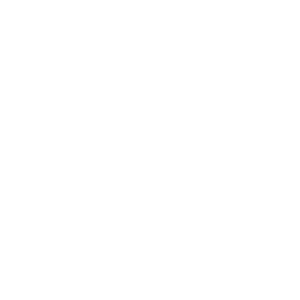 NY Times White As Seen In Logo