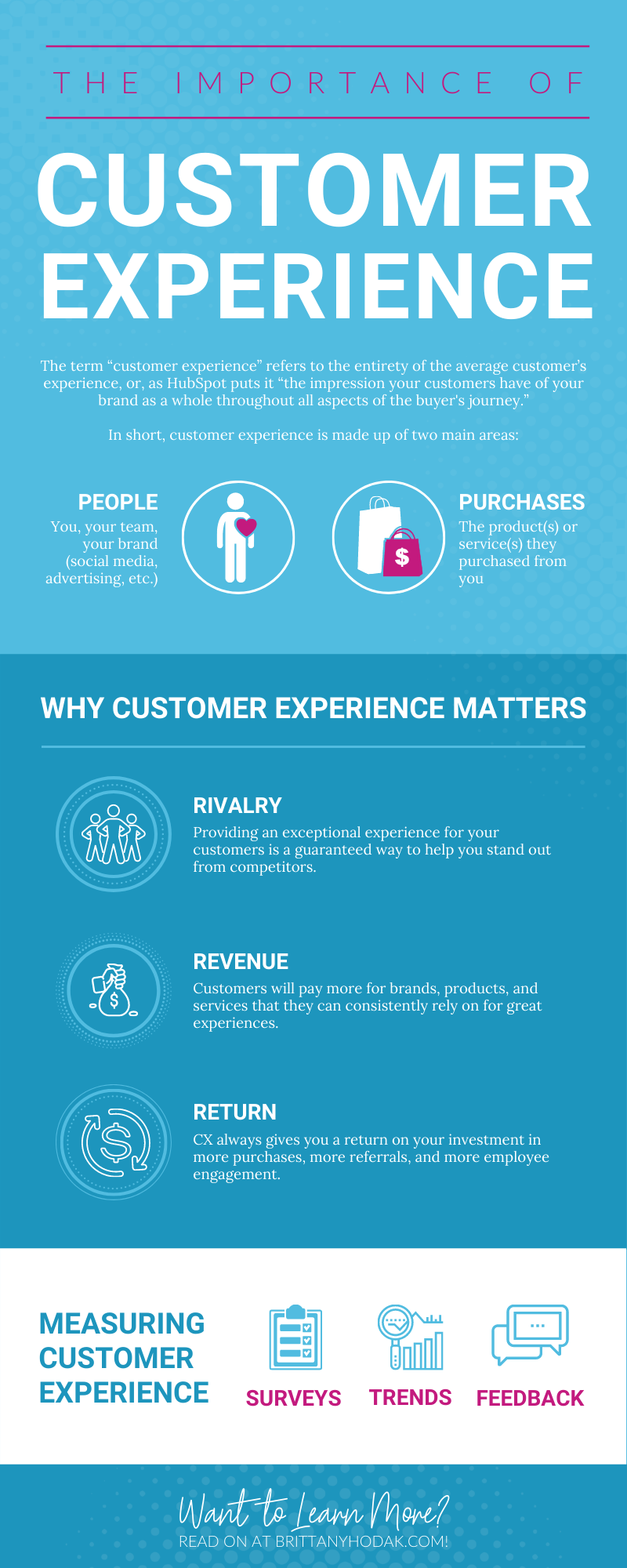 Infographic for Why Is Customer Experience So Important - Brittany Hodak