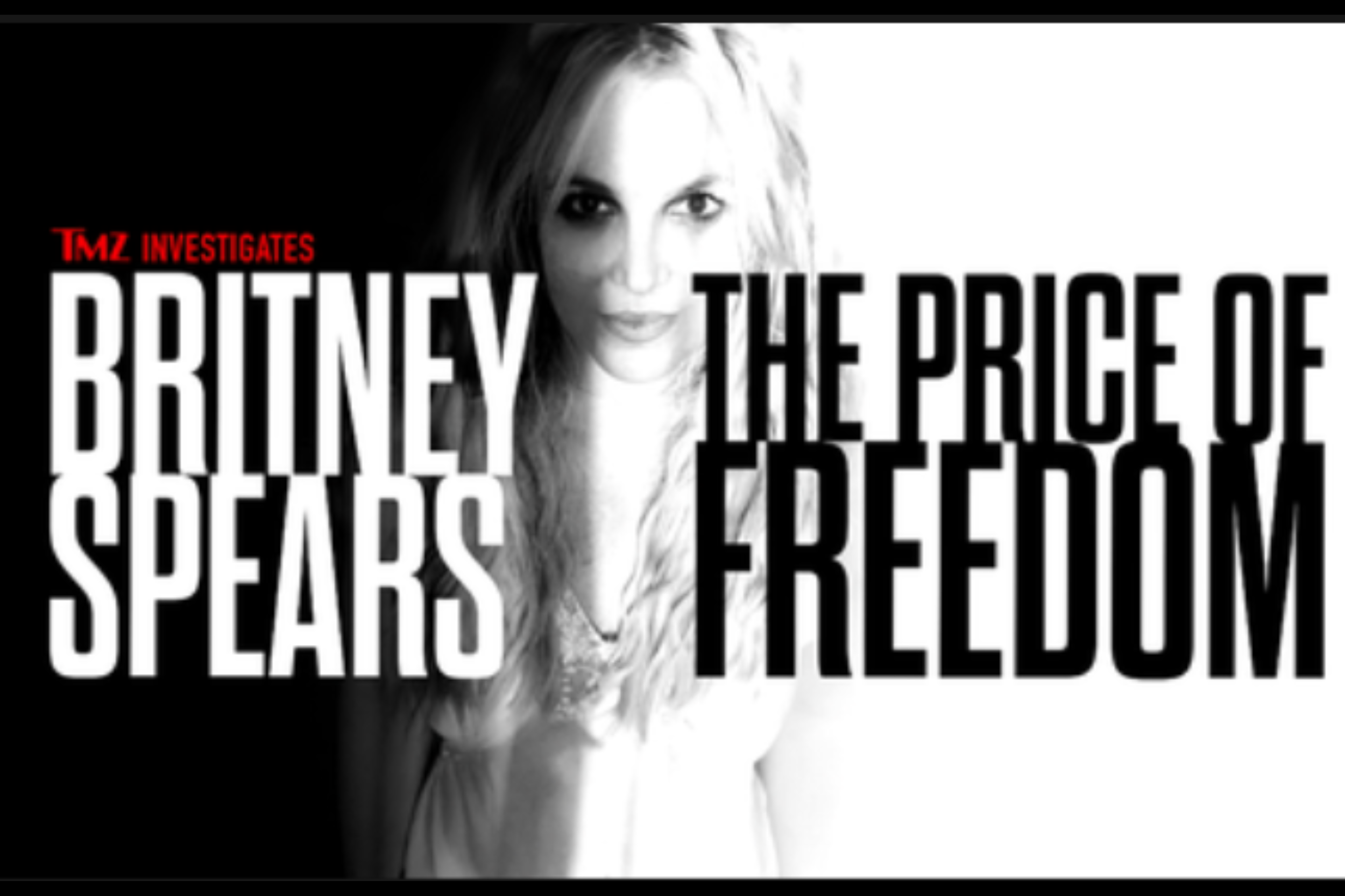 Britney Spears_The Price of Freedom - Brittany Hodak Interview