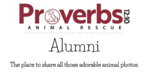 Proverbs 12:10 Animal Rescue Alumni Facebook Group: The Place to share all those adorable animal photos.
