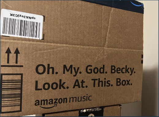Amazon box that says Oh. My. God. Becky. Look. At. This. Box