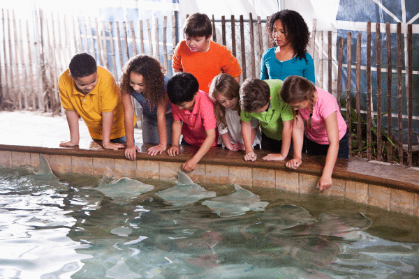 a huge customer experience mistake I saw at the aquarium - brittany hodak