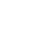 White United Nations Logo